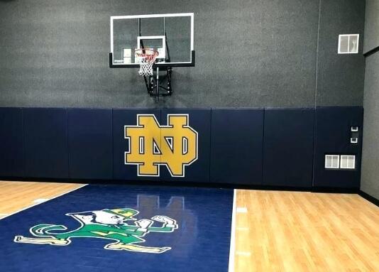 indoor basketball hoop door mount 