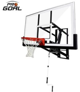 basketball hoop for driveway